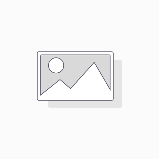 One Installation License